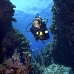 swimthru_ad1_si_v_0083_egy3786.jpg